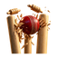Cricket